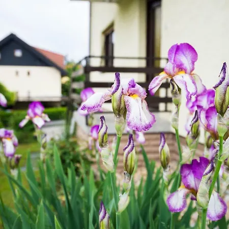 Apartma Ela Bled Exterior photo